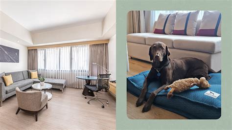 pet friendly hotels map|Pet Friendly Hotels in Makati .